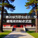 青训球员职业成长：突破瓶颈的秘密武器-图4