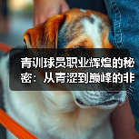 青训球员职业辉煌的秘密：从青涩到巅峰的非凡蜕变-图4