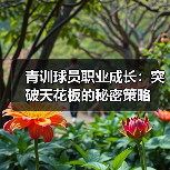青训球员职业成长：突破天花板的秘密策略-图4