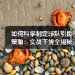 如何科学制定球队引援策略：实战干货全揭秘-图3