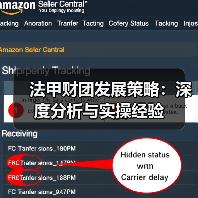 法甲财团发展策略：深度分析与实操经验-图3