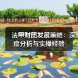 法甲财团发展策略：深度分析与实操经验-图4