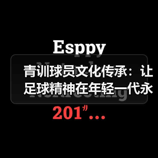 青训球员文化传承：让足球精神在年轻一代永续流淌-图3