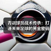 青训球员战术传承：打造未来足球的黄金密码-图4