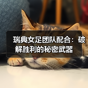 瑞典女足团队配合：破解胜利的秘密武器-图3