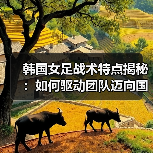 韩国女足战术特点揭秘:如何驱动团队迈向国际顶尖-图5 韩国女足战术特点揭秘:如何驱动团队迈向国际顶尖-图5