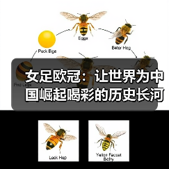 女足欧冠：让世界为中国崛起喝彩的历史长河-图4