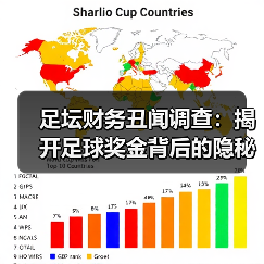 足坛财务丑闻调查：揭开足球奖金背后的隐秘真相-图3