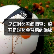 足坛财务丑闻调查：揭开足球奖金背后的隐秘真相-图2