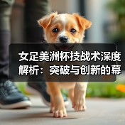 女足美洲杯技战术深度解析：突破与创新的幕后秘密-图5
