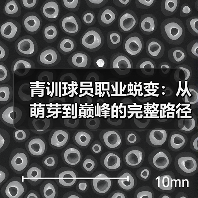 青训球员职业蜕变：从萌芽到巅峰的完整路径-图2
