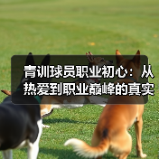 青训球员职业初心：从热爱到职业巅峰的真实指南-图3