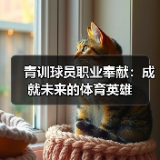 青训球员职业奉献：成就未来的体育英雄-图4