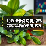 助攻纪录保持者揭密：冠军背后的绝密技巧-图3