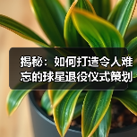 揭秘:如何打造令人难忘的球星退役仪式策划-图2 揭秘:如何打造令人难忘的球星退役仪式策划-图2