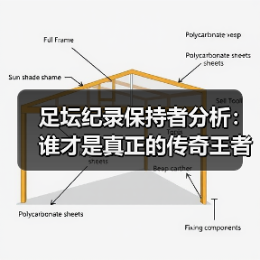 足坛纪录保持者分析：谁才是真正的传奇王者？-图3