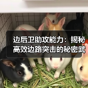 边后卫助攻能力:揭秘高效边路突击的秘密武器-图4 边后卫助攻能力:揭秘高效边路突击的秘密武器-图4