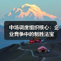 中场调度组织核心：企业竞争中的制胜法宝-图5