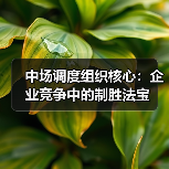 中场调度组织核心：企业竞争中的制胜法宝-图4