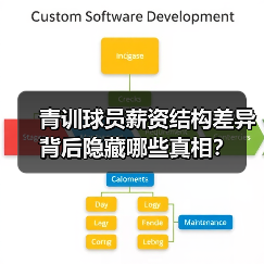 青训球员薪资结构差异背后隐藏哪些真相?-图3 青训球员薪资结构差异背后隐藏哪些真相?-图3
