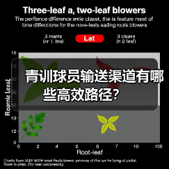 青训球员输送渠道有哪些高效路径？-图3