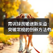 青训球员输送新渠道:突破常规的创新方法有哪些?-图4 青训球员输送新渠道:突破常规的创新方法有哪些?-图4