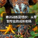 青训训练营组织:从零到专业的成长密码-图5 青训训练营组织:从零到专业的成长密码-图5