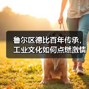 鲁尔区德比百年传承,工业文化如何点燃激情?-图3 鲁尔区德比百年传承,工业文化如何点燃激情?-图3