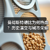 曼彻斯特德比为何热血?历史演变与城市荣耀全解析-图2 曼彻斯特德比为何热血?历史演变与城市荣耀全解析-图2