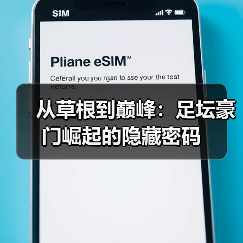 从草根到巅峰：足坛豪门崛起的隐藏密码-图3