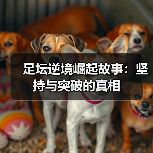 足坛逆境崛起故事:坚持与突破的真相-图3 足坛逆境崛起故事:坚持与突破的真相-图3