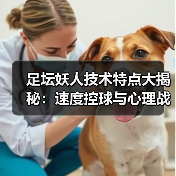 足坛妖人技术特点大揭秘：速度控球与心理战术如何炼成-图5