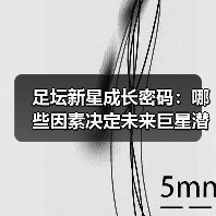 足坛新星成长密码：哪些因素决定未来巨星潜力？-图2