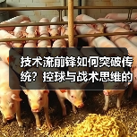 技术流前锋如何突破传统？控球与战术思维的秘密-图3