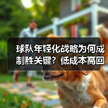 球队年轻化战略为何成制胜关键？低成本高回报的未来之道-图2