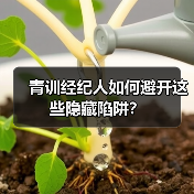 青训经纪人如何避开这些隐藏陷阱?-图3 青训经纪人如何避开这些隐藏陷阱?-图3