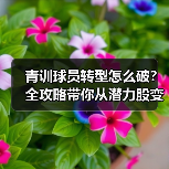 青训球员转型怎么破?全攻略带你从潜力股变职业战将!-图4 青训球员转型怎么破?全攻略带你从潜力股变职业战将!-图4