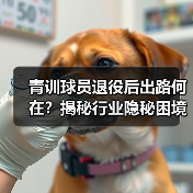 青训球员退役后出路何在?揭秘行业隐秘困境与转型机遇-图3 青训球员退役后出路何在?揭秘行业隐秘困境与转型机遇-图3