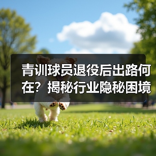 青训球员退役后出路何在?揭秘行业隐秘困境与转型机遇-图4 青训球员退役后出路何在?揭秘行业隐秘困境与转型机遇-图4