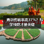 青训伤病率高37%?科学预防才是关键-图2 青训伤病率高37%?科学预防才是关键-图2