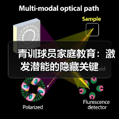 青训球员家庭教育:激发潜能的隐藏关键-图2 青训球员家庭教育:激发潜能的隐藏关键-图2