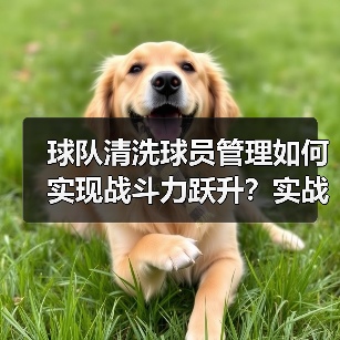 球队清洗球员管理如何实现战斗力跃升?实战策略全解析-图2 球队清洗球员管理如何实现战斗力跃升?实战策略全解析-图2