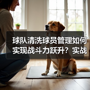 球队清洗球员管理如何实现战斗力跃升?实战策略全解析-图5 球队清洗球员管理如何实现战斗力跃升?实战策略全解析-图5