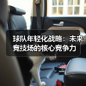 球队年轻化战略:未来竞技场的核心竞争力-图4 球队年轻化战略:未来竞技场的核心竞争力-图4
