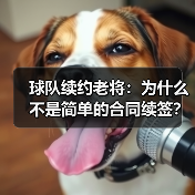 球队续约老将:为什么不是简单的合同续签?-图4 球队续约老将:为什么不是简单的合同续签?-图4