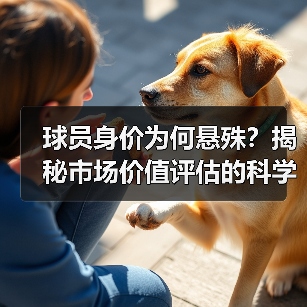 球员身价为何悬殊?揭秘市场价值评估的科学方法-图4 球员身价为何悬殊?揭秘市场价值评估的科学方法-图4