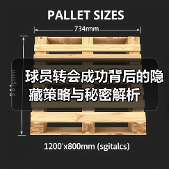 球员转会成功背后的隐藏策略与秘密解析-图4 球员转会成功背后的隐藏策略与秘密解析-图4