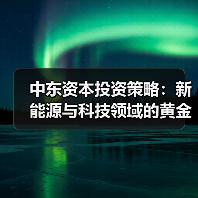 中东资本投资策略:新能源与科技领域的黄金钥匙-图3 中东资本投资策略:新能源与科技领域的黄金钥匙-图3