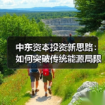 中东资本投资新思路:如何突破传统能源局限?-图4 中东资本投资新思路:如何突破传统能源局限?-图4