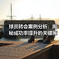 球员转会案例分析:揭秘成功率提升的关键策略-图3 球员转会案例分析:揭秘成功率提升的关键策略-图3